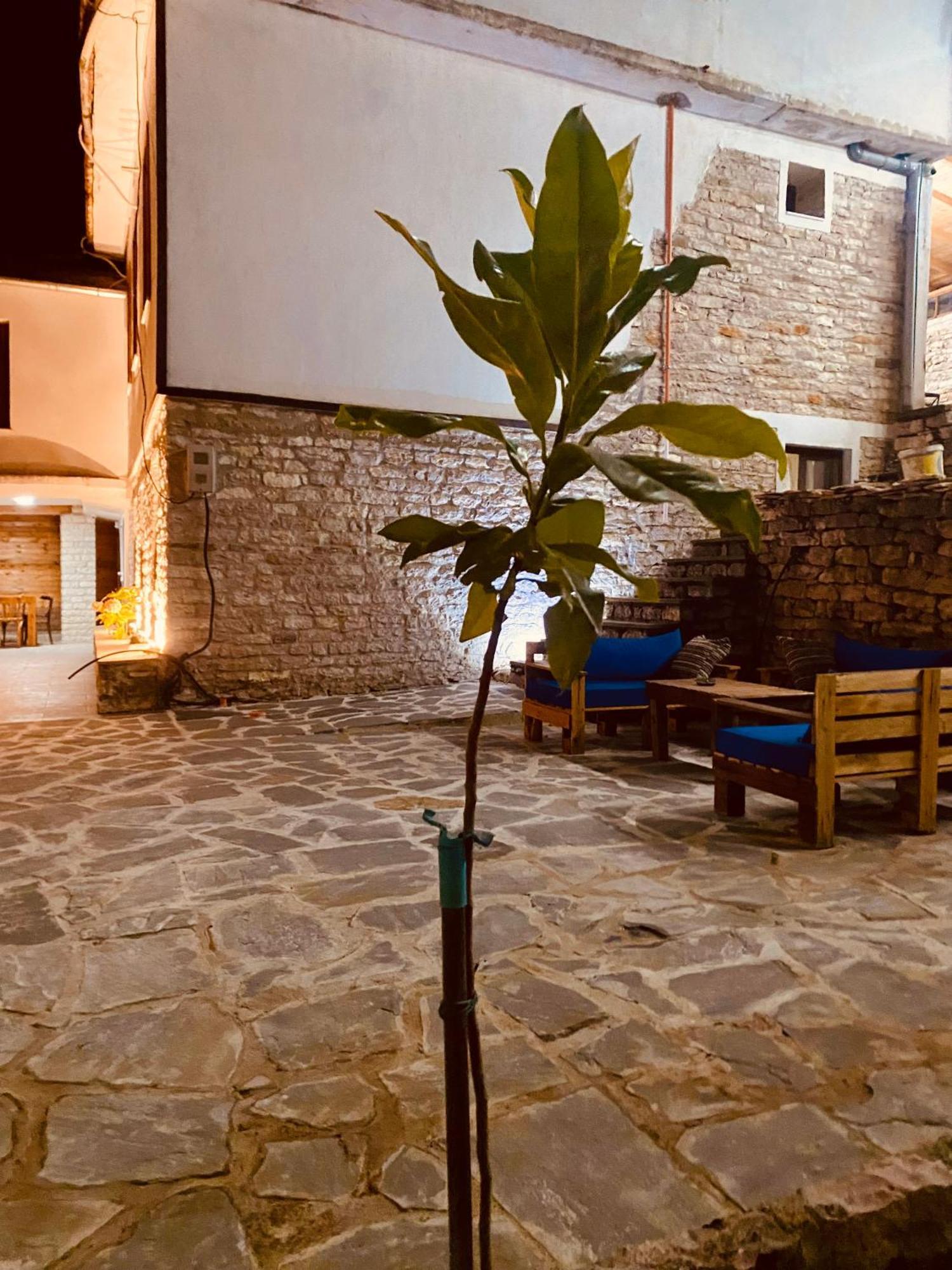 Vila Eri Gjirokaster Exterior photo